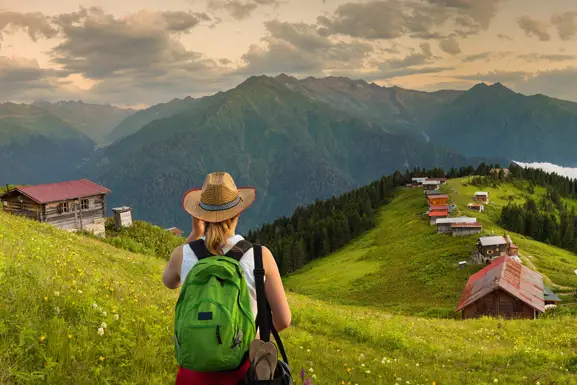 Pokut Turu